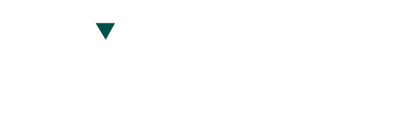 Apollo Consulting Inc.